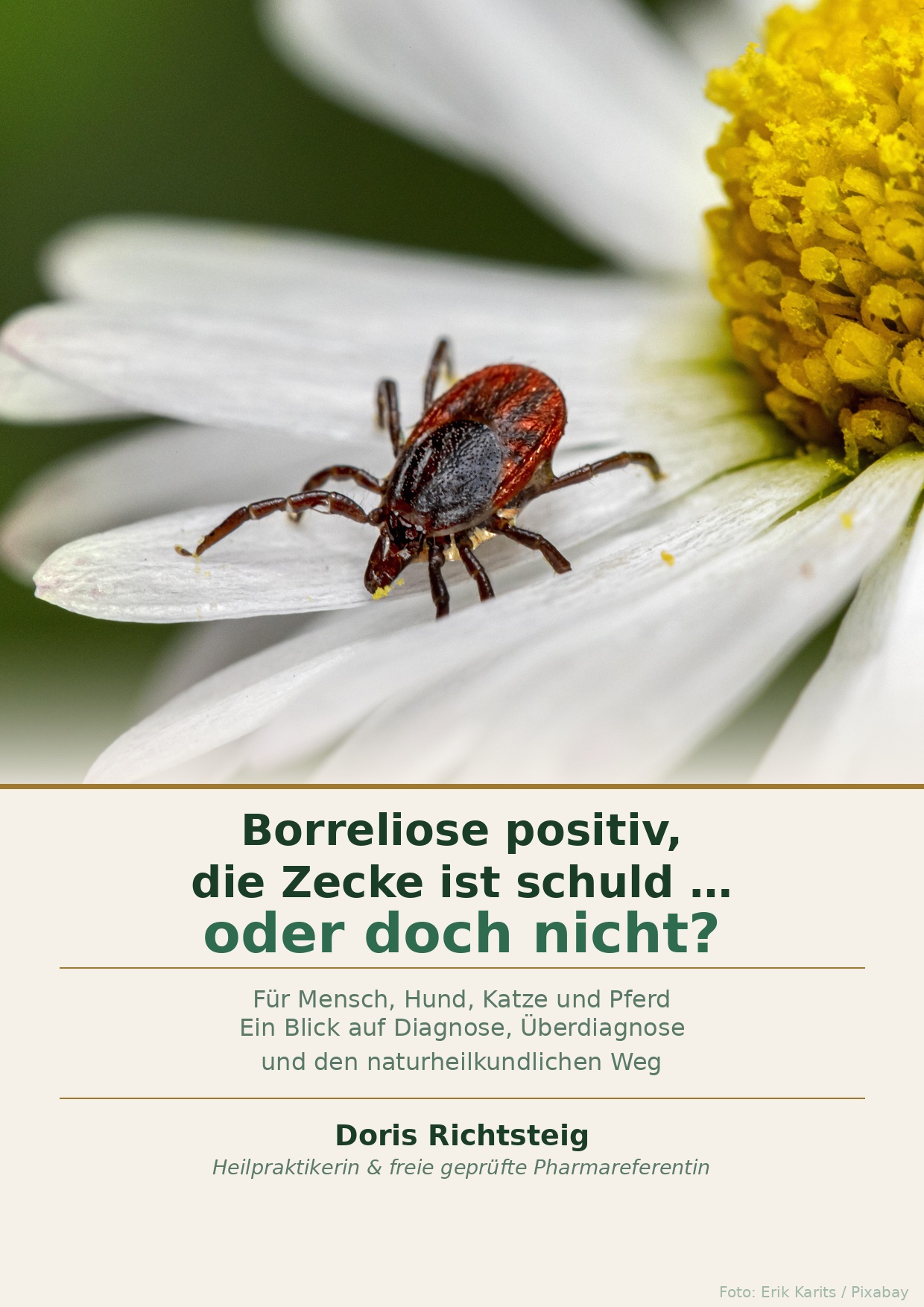 ebook-cover-borreliose-b2.jpeg